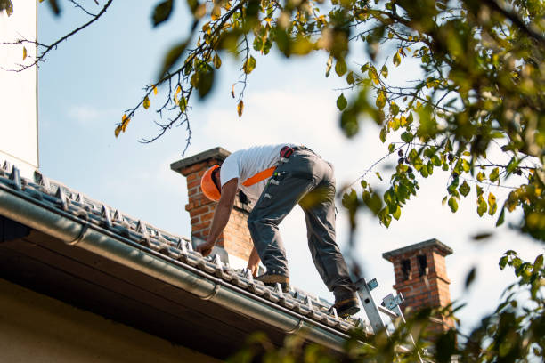 Best Metal Roofing Contractor  in El Dorado Hills, CA