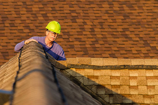 Best Roof Gutter Cleaning  in El Dorado Hills, CA