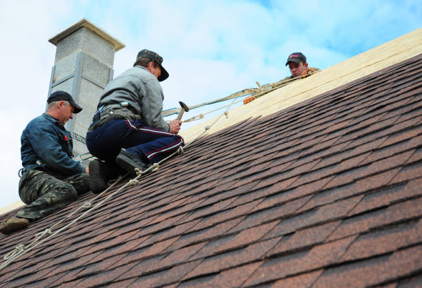 Best New Roof Installation  in El Dorado Hills, CA